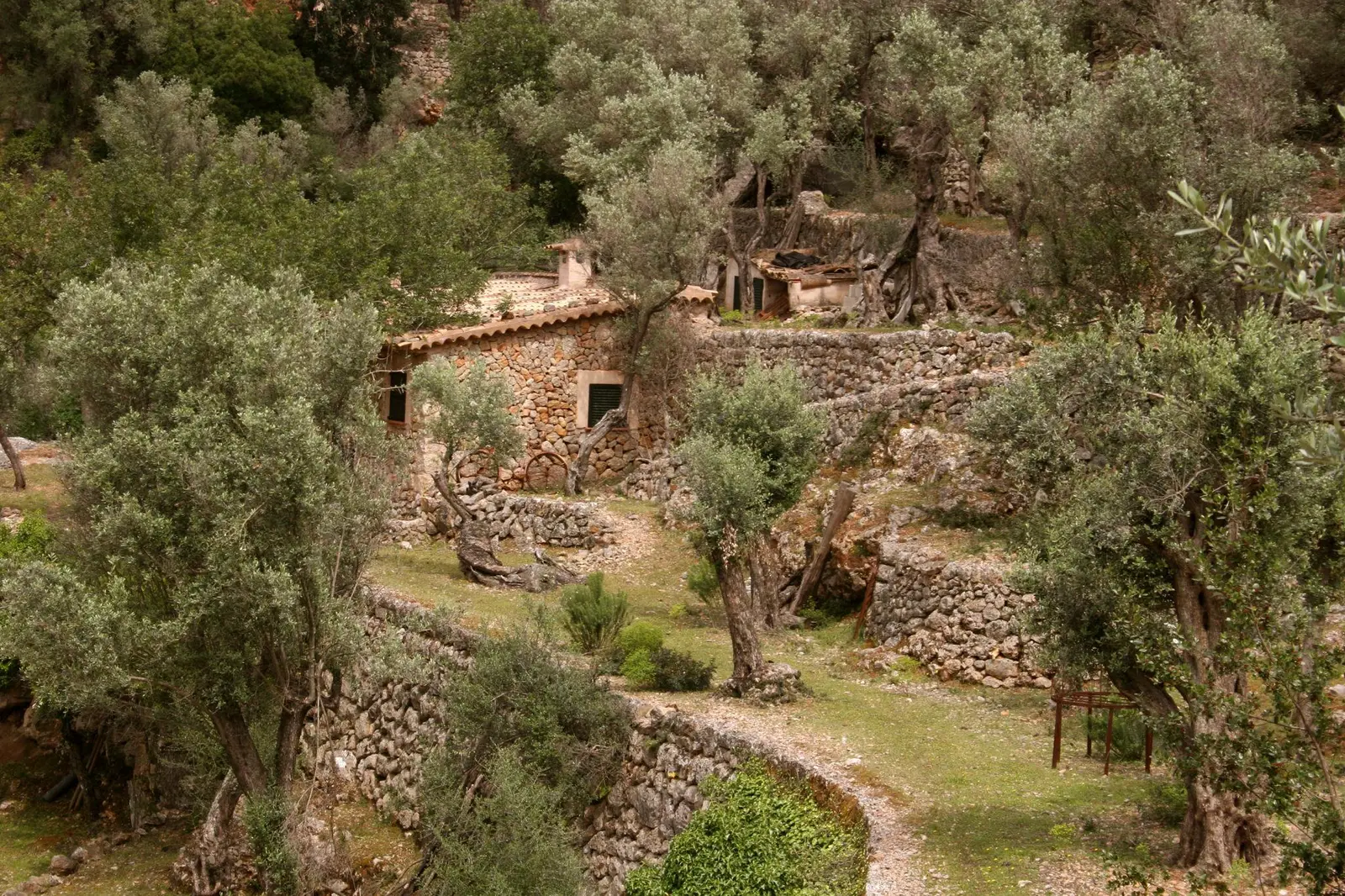 Casa de piedra entre terrazas de olivos