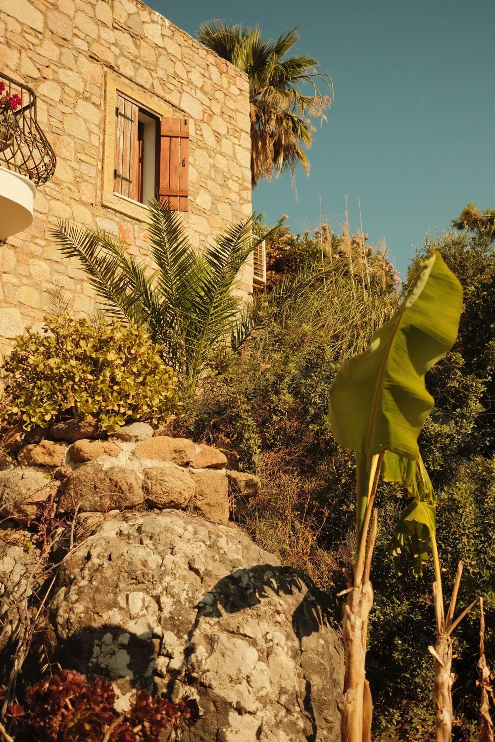 Detalle de fachada de piedra y vegetación mediterránea